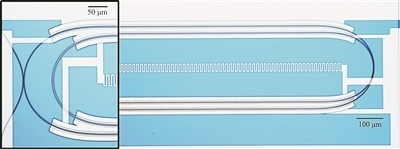 微波光量子傳感器的光學(xué)顯微照片。圖片來(lái)源：美國(guó)哈佛大學(xué)