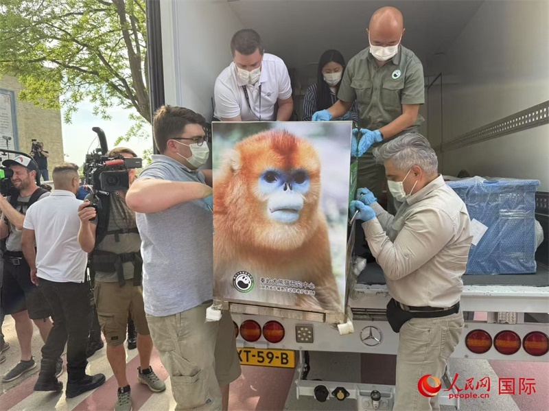 圖為活動現(xiàn)場。人民網(wǎng)記者 牛瑞飛攝