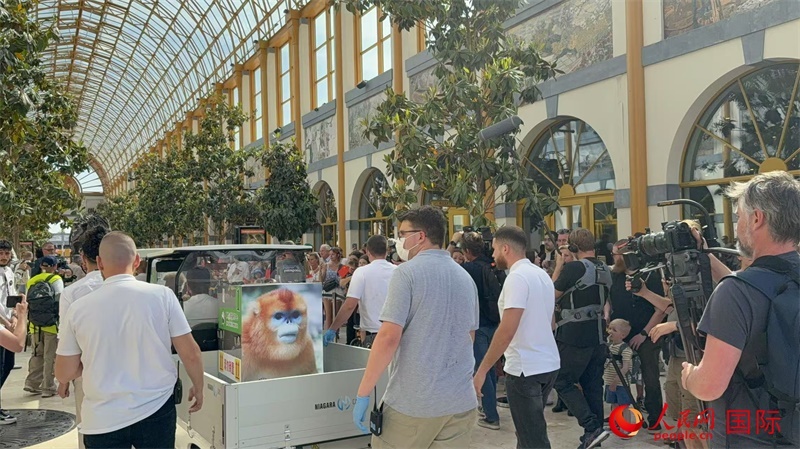 圖為活動現(xiàn)場。人民網(wǎng)記者 牛瑞飛攝