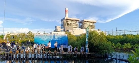5月18日，中印尼嘉賓在爪哇7號(hào)燃煤電站舉行紅樹林補(bǔ)植儀式。記者 曹凱 攝