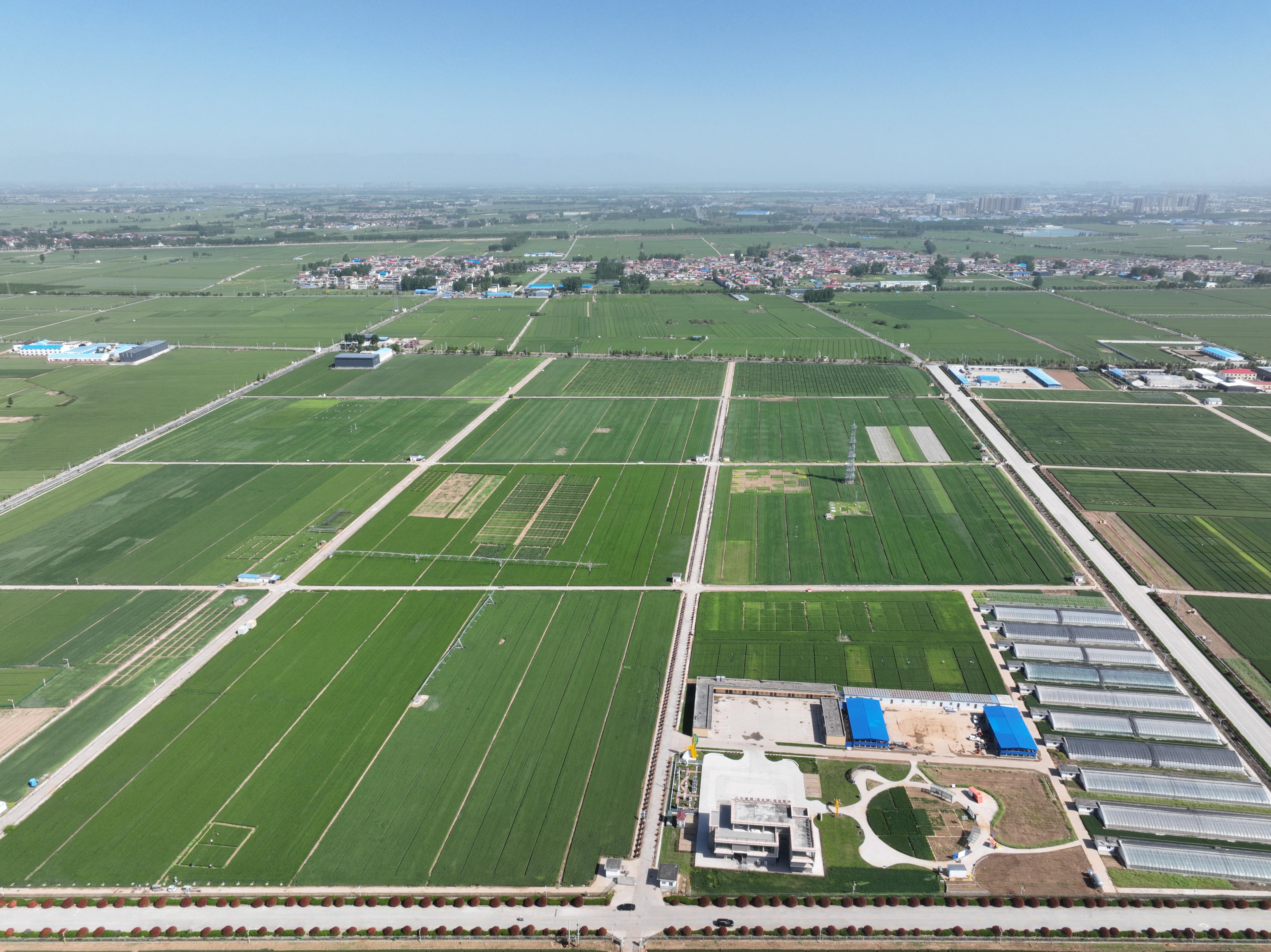 俯瞰水利部灌溉試驗(yàn)總站試驗(yàn)研究基地。受訪者供圖