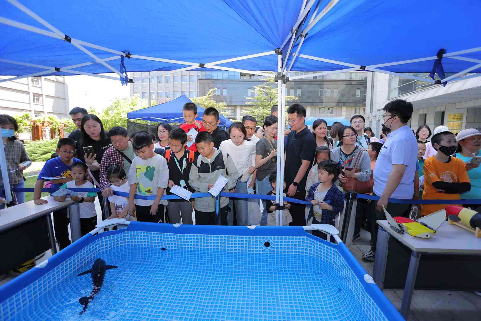 水下仿生機器魚在活動現(xiàn)場大受歡迎。中國科學院自動化研究所供圖